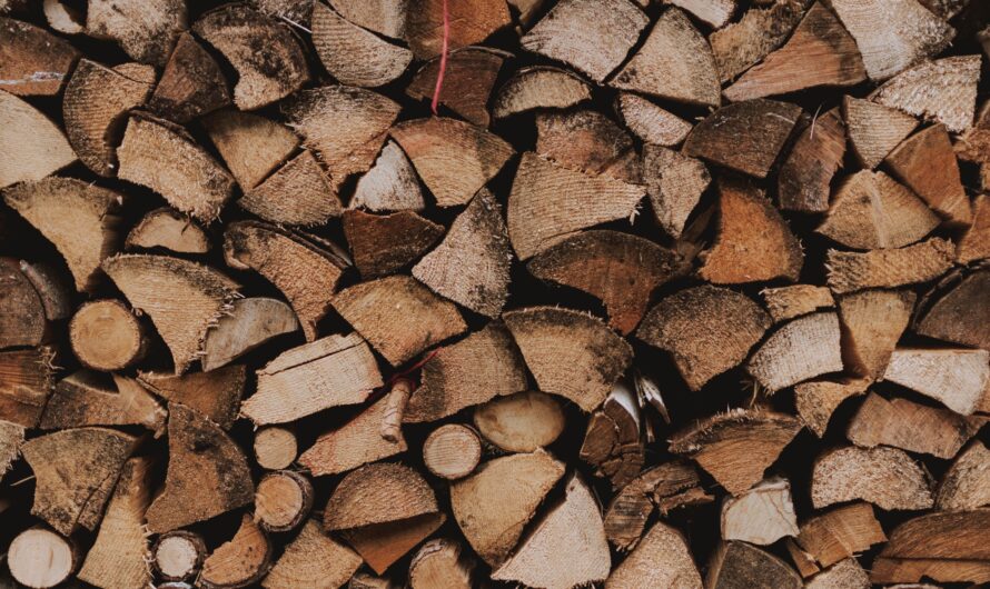 Développer et structurer des filières forestières bois énergie en Isère